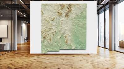 new mexico topographic relief map - 3d render Wall mural