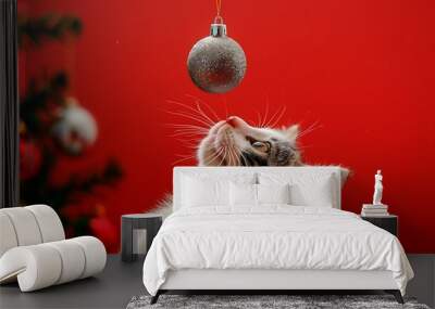 A portrait of a white and gray cat looking up at a Christmas tree ornament on a red background Wall mural