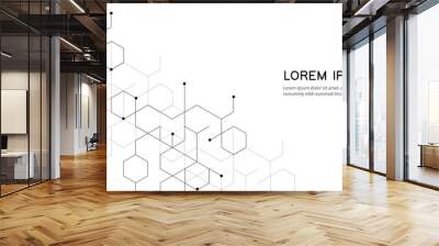 abstract background with connected hexagons and dots,Banner design Wall mural