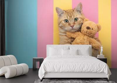 Beautiful cat hugging a teddy bear isolated on colorful background Wall mural