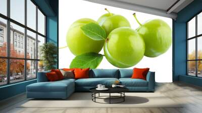 Green plum fruit isolated on transparent background Wall mural