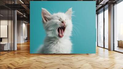 Sleepy cat with white fur yawning on a blue background Wall mural