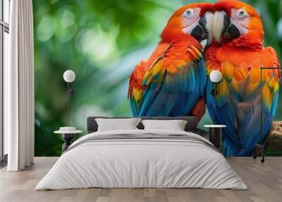 Two colorful parrots sitting close together on a branch, their feathers blending into a heart shape, vibrant tropical jungle setting Wall mural