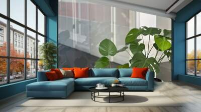 Two potted Monstera plants in a modern office, focus on lush green leaves in white pots, with a minimalist glass and white wall background, creating a calm and stylish workspace environment Wall mural