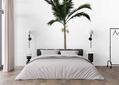 Front view tree ( Adolescent Alexander palm Tree Palm 2) png Wall mural