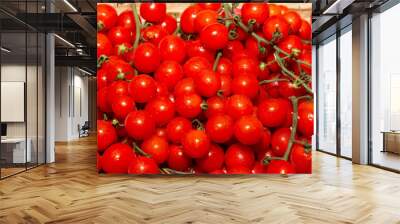 Bunch of ripe tomatoes Wall mural