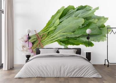 Bunch of turnips with isolated tops Wall mural