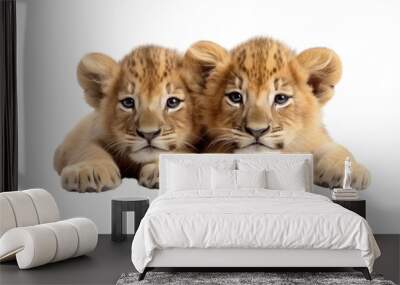 two kid lions on the transparent background Wall mural