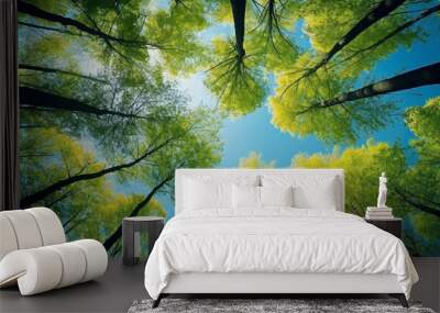 Forest trees view from below into the sky. Nature green wood sunlight backgrounds.Carbon credit trading concept.
Reforestation concept for environmental sustainability. Wall mural