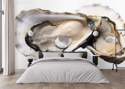 Fresh raw oysters on transparent background. Wall mural