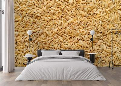 Rice husk texture background. Wall mural