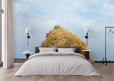 haystack Wall mural