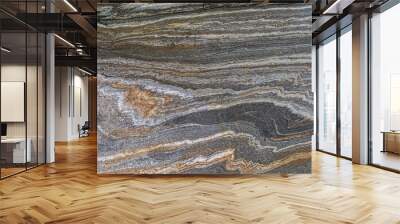 A metamorphic rock called gneiss makes pleasing patterns along its surface. Wall mural