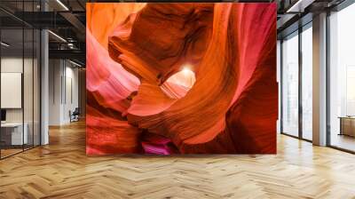 Scenic canyon Antelope Wall mural