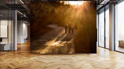 Three people  walking in green nature  at sunset. Family weekend outdoor activity Wall mural