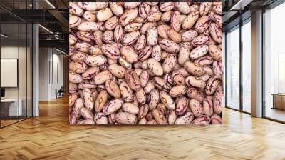 Haricot bean. kidney beans image Wall mural