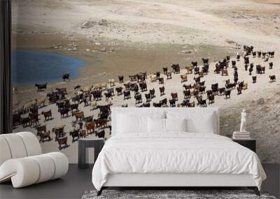 herd of goats wandering by the lake Wall mural