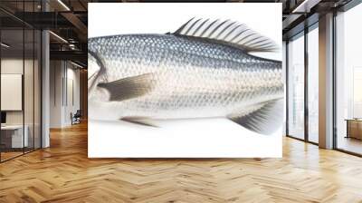 One fresh sea bass fish isolated on white background. Wall mural