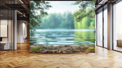 beautiful lake view with trees. summer background with copy space. Wall mural