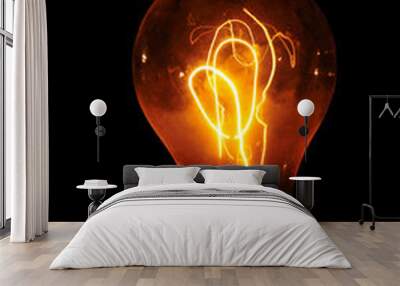 edison light bulb with looping carbon filament. Wall mural