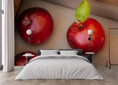 A close-up of ripe red apples, with one featuring a bright green leaf. The apples display a natural sheen, showcasing their freshness and vibrant colors Wall mural