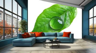 Close-up of a fresh green leaf with a large water droplet, symbolizing purity, nature, and freshness. Perfect for eco-friendly and organic themes. Wall mural