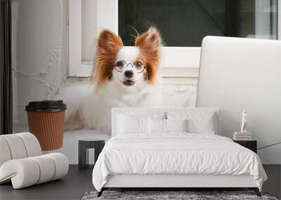 working dog. Cute dog is working on a silver laptop with a cup of coffee. Dog breed : Continental Toy Spaniel Papillon. Wall mural