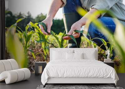 Farmer examining corn plant in field. Agricultural activity at cultivated land. Woman agronomist inspecting maize seedling Wall mural