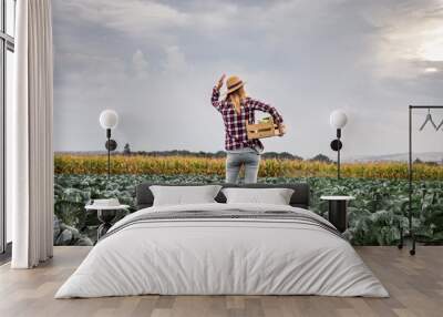 Farmer standing in cabbage field. Agricultural activity Wall mural