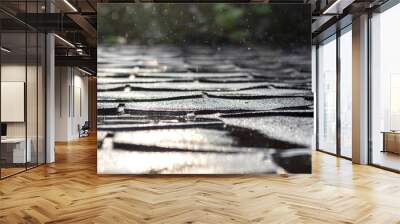 Gleaming shingle roof during rain in sunlight. Selective focus Wall mural