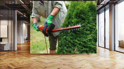 Woman gardener trimming overgrown bush by electric hedge trimmer Wall mural