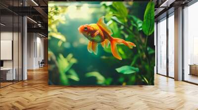 A beautiful fish tank aquarium with lush green plants and orange goldfish swimming among the water plants. Wall mural