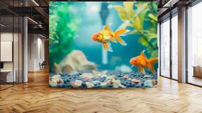 A beautiful fish tank aquarium with lush green plants and orange goldfish swimming among the water plants. Wall mural