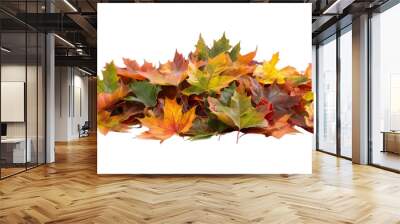 A pile of autumn colorful maple leaves isolated on a white background Wall mural