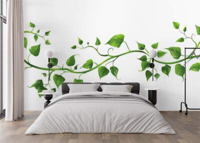 A vine with leaves on it on an isolated white background Wall mural