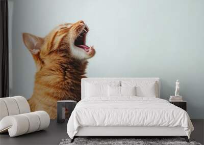 cat portrait isolated on a white background, with a shocked face, open mouth, and tongue out. Wall mural