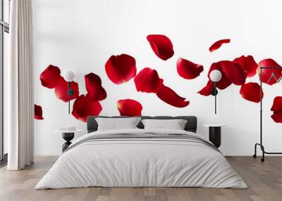 rose petals flying in the air, red color, vector illustration, white background Wall mural