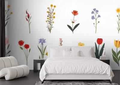 Set of flowers, vector illustration on a white background. Wall mural