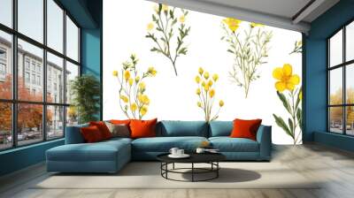 set of yellow flowers on white background Wall mural