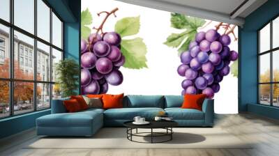 Watercolor grapes on white background Wall mural