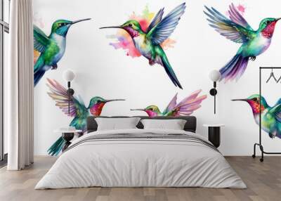 watercolor Hummingbird on white background Wall mural