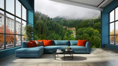 Fog settling between two mountains. Green natural forest at the foot of the mountains. Aerial view Wall mural