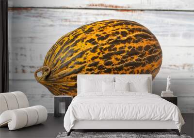 Melon on a white wood background. Fresh melon harvest season concept. Healthy and fresh fruit Wall mural