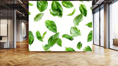 green leaves isolated on white Wall mural