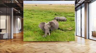 Elephants in Kenya, Africa Wall mural