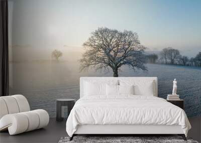 Winter morning landscape Wall mural