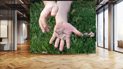 male hand on the grass Wall mural