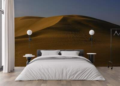 beautiful sand dunes in the desert Wall mural