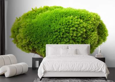 Green moss piece isolated on white background, top view
 Wall mural