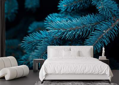 Close-up of a stunning blue spruce branch exuding tranquility and natural beauty Wall mural